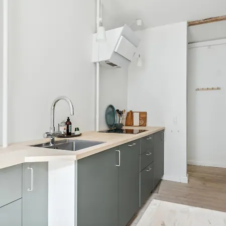 2br I K M Terrasse דירה קופנהגן
